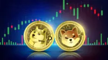 Прогноз цен на Dogecoin (DOGE) и Шиба-ину (SHIB) 06.07.2022.png